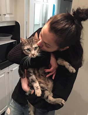 petsitter Timișoara sau Bonă pentru animale pentru Câini Pisici 