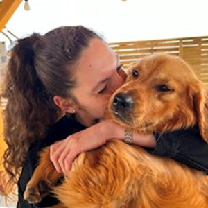 petsitter București or Pet nanny for Dogs Cats
