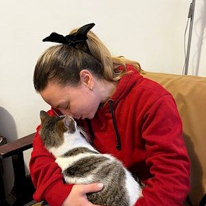 petsitter Oradea vagy Állat szitter a Kutyák Cicák