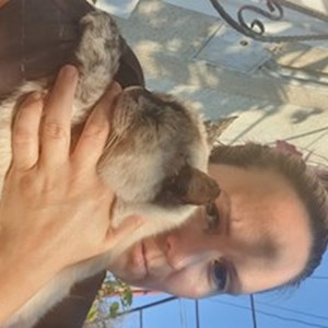 petsitter Constanța or Pet nanny for Dogs Cats 