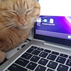 Mihalache - pet sitter cats dogs Valea Lupului