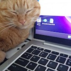 petsitter Valea Lupului or Pet nanny for Dogs Cats
