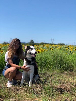 petsitter Cluj-Napoca or Pet nanny for Dogs Cats 