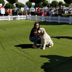 Mihaela - pet sitter cats dogs București