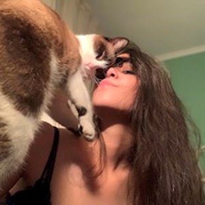 petsitter București vagy Állat szitter a Kutyák Cicák 