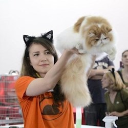 Anca - pet sitter cats București