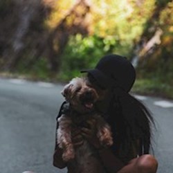 Randrianilana - pet sitter pisici câini Iași