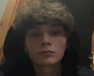 petsitter București sau Bonă pentru animale pentru Câini Pisici 