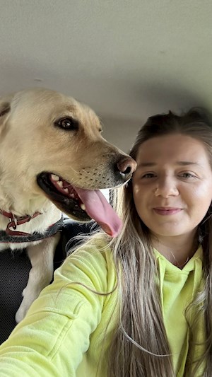 petsitter București or Pet nanny for Dogs Cats 