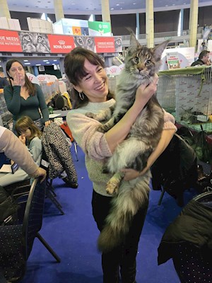 petsitter București or Pet nanny for Dogs Cats 