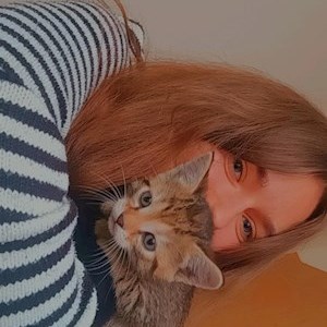 petsitter București or Pet nanny for Dogs Cats 