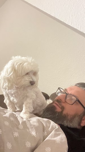 petsitter București vagy Állat szitter a Kutyák 