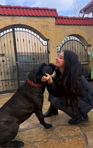 petsitter Popești-Leordeni vagy Állat szitter a Kutyák Cicák 