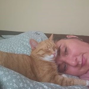 petsitter Florești vagy Állat szitter a Cicák