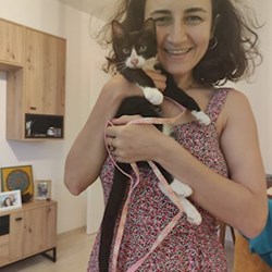 florentina - pet sitter pisici câini Iași