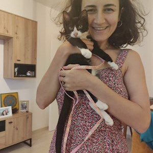 petsitter Iași or Pet nanny for Dogs Cats
