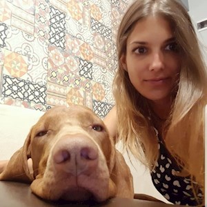petsitter Timișoara vagy Állat szitter a Kutyák Cicák 