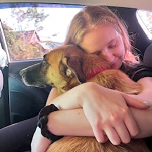 petsitter Cluj-Napoca sau Bonă pentru animale pentru Câini Pisici