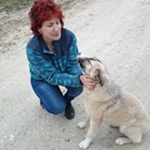 petsitter București or Pet nanny for 
