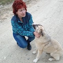 beatrice - pet sitter București