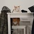 Sandra + stapan de animal de companie care a apelat la un pet sitter in loc de pensiune canina sau pet hotel