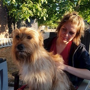 petsitter Timișoara vagy Állat szitter a Kutyák Cicák