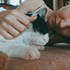 Sinziana + stapan de animal de companie care a apelat la un pet sitter in loc de pensiune canina sau pet hotel
