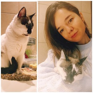petsitter București or Pet nanny for Dogs Cats