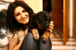 petsitter București or Pet nanny for Dogs Cats 