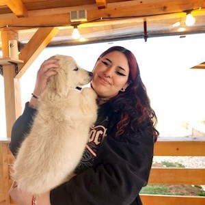 petsitter București sau Bonă pentru animale pentru Câini Pisici