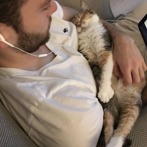 petsitter București sau Bonă pentru animale pentru Câini Pisici