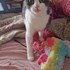 Gabriela + stapan de animal de companie care a apelat la un pet sitter in loc de pensiune canina sau pet hotel