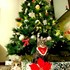 Dona + stapan de animal de companie care a apelat la un pet sitter in loc de pensiune canina sau pet hotel