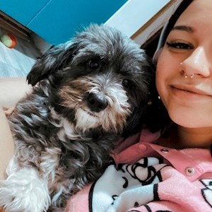 petsitter București or Pet nanny for Dogs Cats