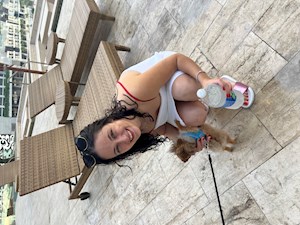 petsitter București sau Bonă pentru animale pentru Câini 