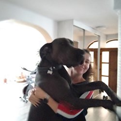 Liana - pet sitter cats dogs Cluj-Napoca