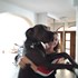 Liana + stapan de animal de companie care a apelat la un pet sitter in loc de pensiune canina sau pet hotel