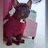 Ionela + stapan de animal de companie care a apelat la un pet sitter in loc de pensiune canina sau pet hotel