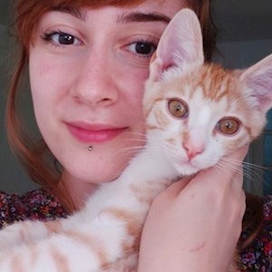 petsitter București or Pet nanny for Dogs Cats 