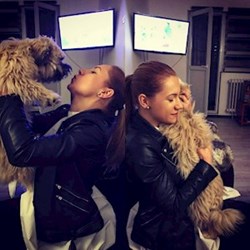 Alexandra - pet sitter cats dogs București