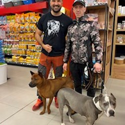 RICHARDO - pet sitter cicák kutyák Târgu Mureș