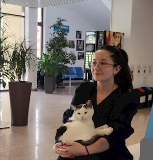 petsitter București sau Bonă pentru animale pentru Câini Pisici 