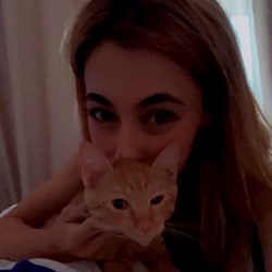 Alecu - pet sitter pisici București