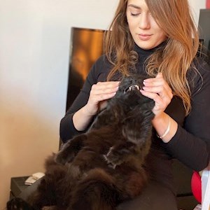 petsitter București or Pet nanny for Dogs Cats 