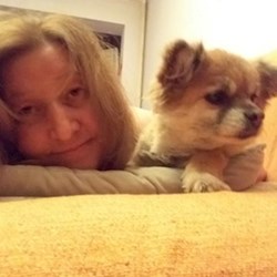 Draghici - pet sitter cats dogs București