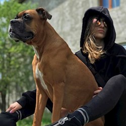 Carla - pet sitter cicák kutyák București