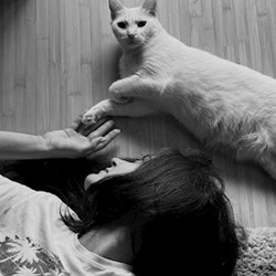 Corina - pet sitter pisici câini București