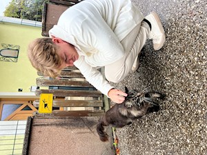 petsitter Timișoara sau Bonă pentru animale pentru Câini Pisici 