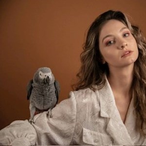 petsitter București or Pet nanny for Dogs Cats