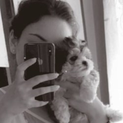 Românianu - pet sitter pisici câini Iași